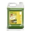Limpador perfumado concentrado folhas cerrado 5L